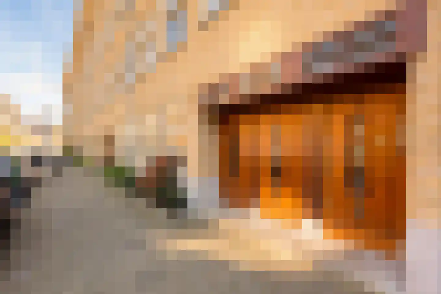 Anthonie van Dijckstraat 11 2 Amsterdam thumbnail 44