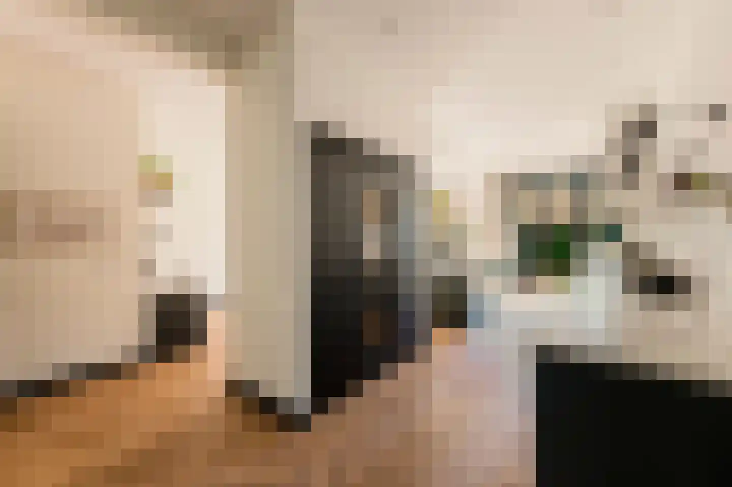 Anthonie van Dijckstraat 11 2 Amsterdam thumbnail 5