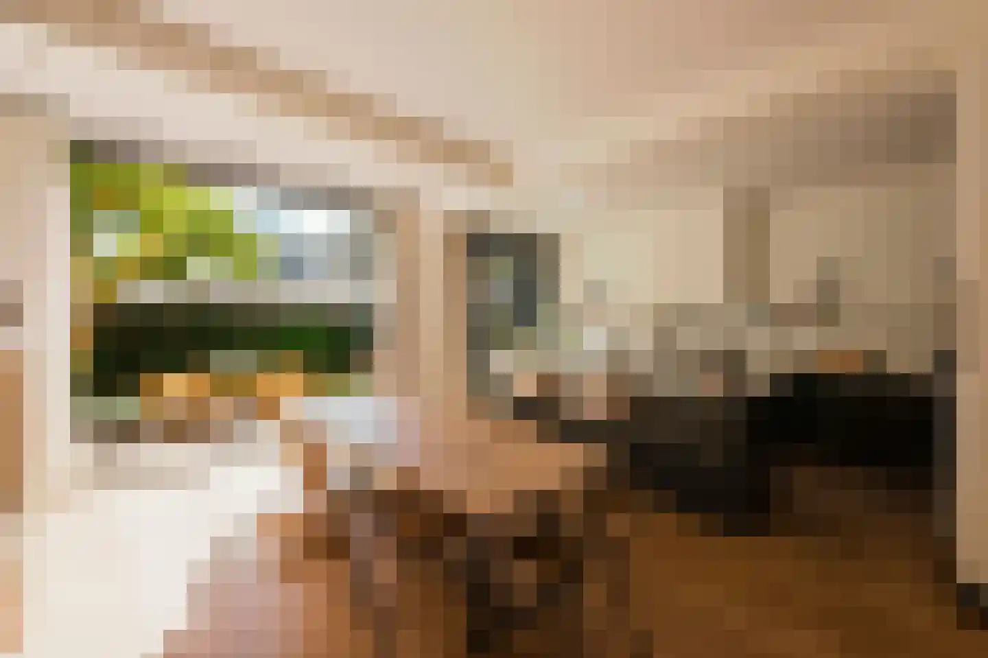Anthonie van Dijckstraat 11 2 Amsterdam thumbnail 7