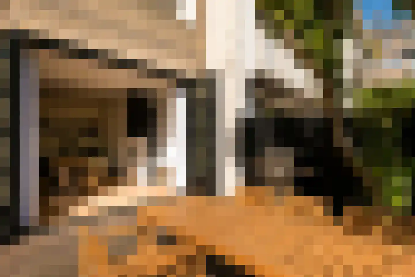 Anthonie van Dijckstraat 11 H Amsterdam thumbnail 36