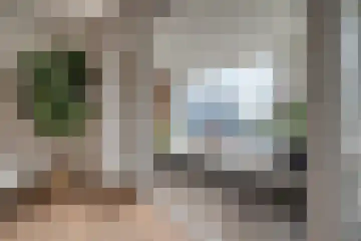 Anthonie van Dijckstraat 13 1 Amsterdam thumbnail 12