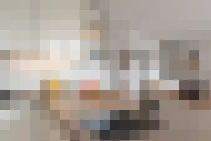 Anthonie van Dijckstraat 13 1 Amsterdam thumbnail 14