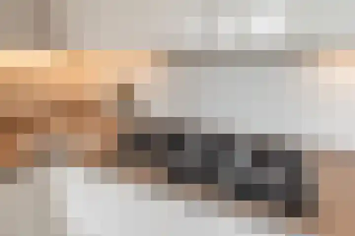 Anthonie van Dijckstraat 13 1 Amsterdam thumbnail 15