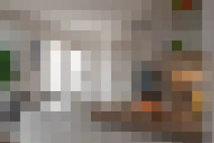 Anthonie van Dijckstraat 13 1 Amsterdam thumbnail 16
