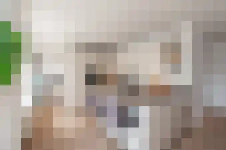 Anthonie van Dijckstraat 13 1 Amsterdam thumbnail 17