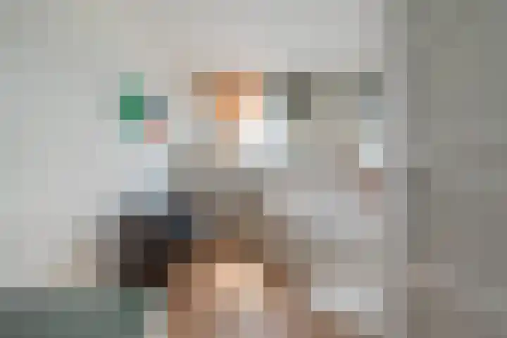 Anthonie van Dijckstraat 13 1 Amsterdam thumbnail 29
