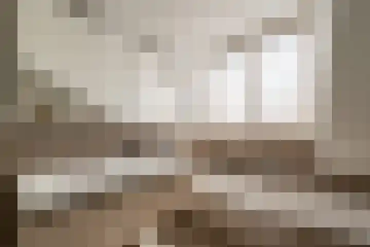 Anthonie van Dijckstraat 13 1 Amsterdam thumbnail 32
