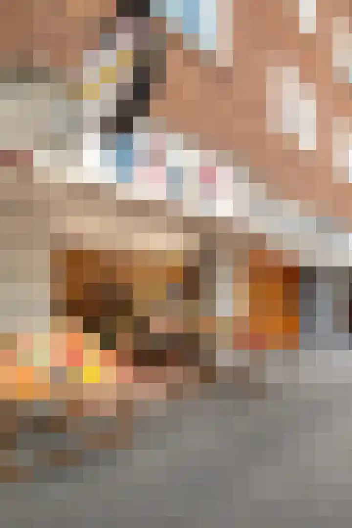 Anthonie van Dijckstraat 13 1 Amsterdam thumbnail 39