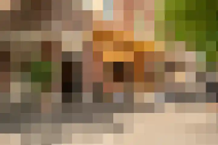 Anthonie van Dijckstraat 13 1 Amsterdam thumbnail 41