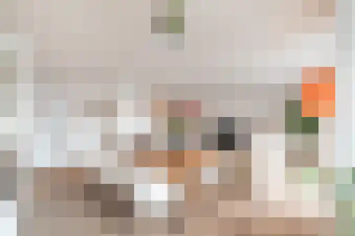 Anthonie van Dijckstraat 13 1 Amsterdam thumbnail 7