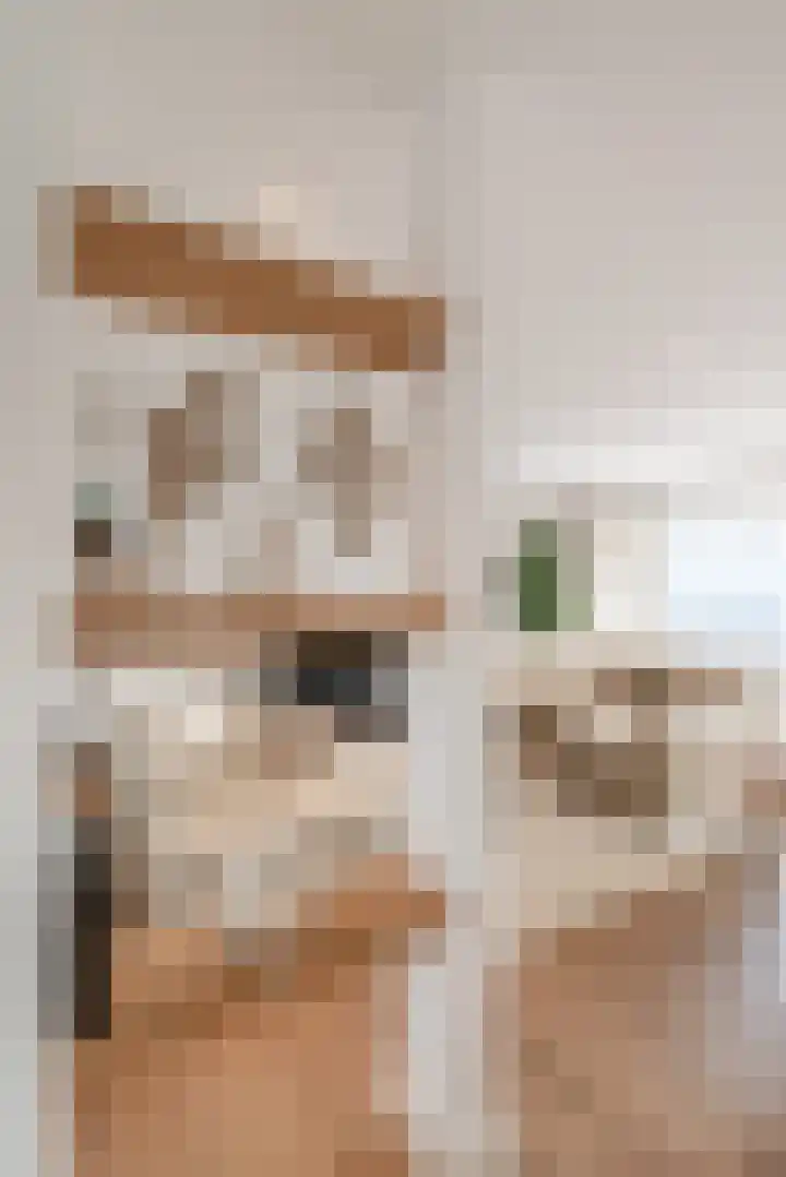 Anthonie van Dijckstraat 13 1 Amsterdam thumbnail 8