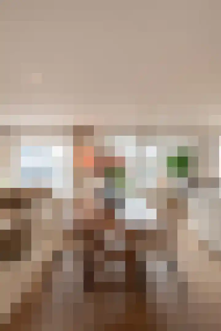 Anthonie van Dijckstraat 13 1 Amsterdam thumbnail 9