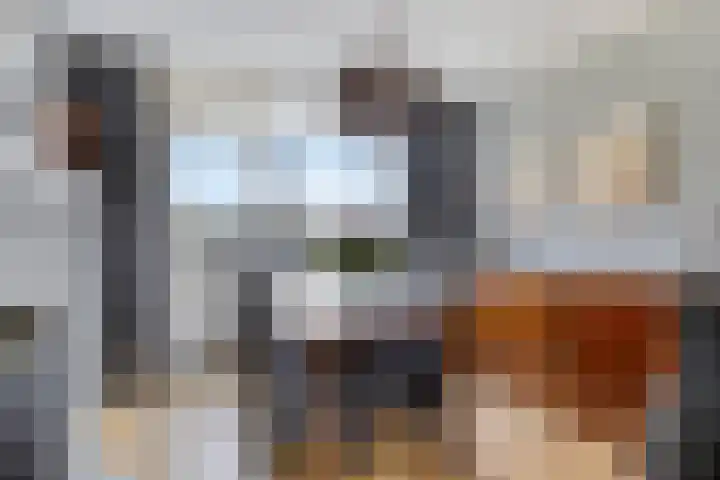 Anthonie van Dijckstraat 13 Papendrecht thumbnail 10