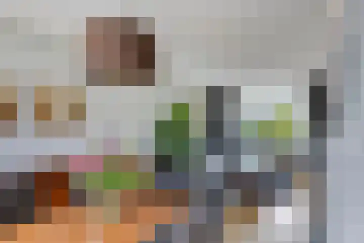 Anthonie van Dijckstraat 13 Papendrecht thumbnail 11