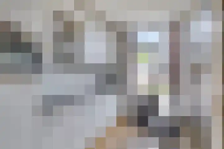 Anthonie van Dijckstraat 13 Papendrecht thumbnail 13