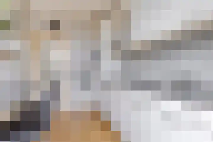 Anthonie van Dijckstraat 13 Papendrecht thumbnail 14