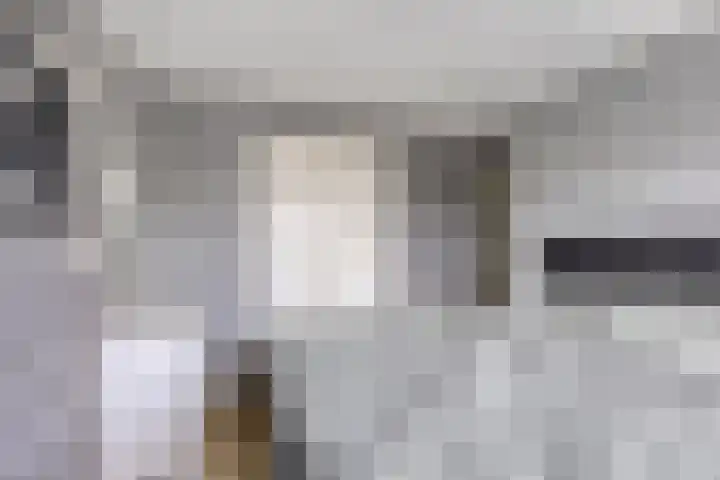 Anthonie van Dijckstraat 13 Papendrecht thumbnail 17