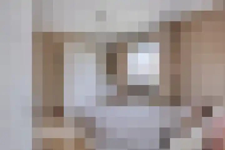 Anthonie van Dijckstraat 13 Papendrecht thumbnail 21