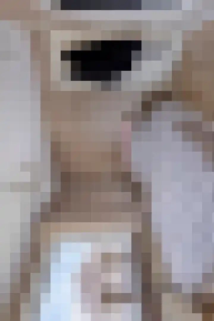 Anthonie van Dijckstraat 13 Papendrecht thumbnail 22