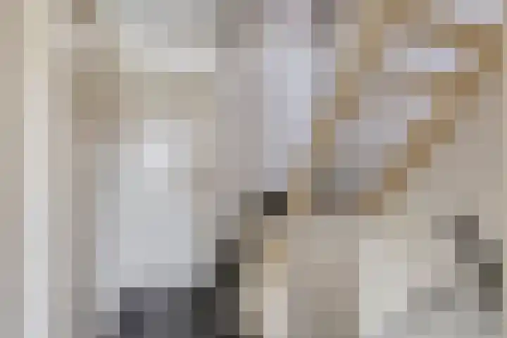 Anthonie van Dijckstraat 13 Papendrecht thumbnail 25
