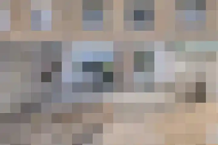 Anthonie van Dijckstraat 13 Papendrecht thumbnail 26
