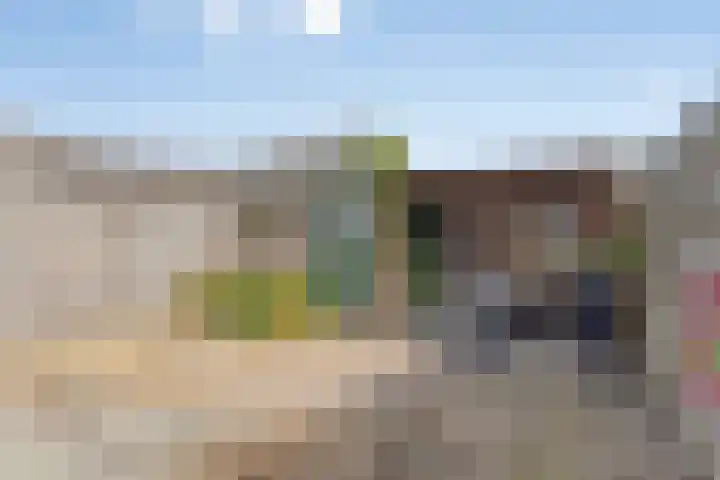 Anthonie van Dijckstraat 13 Papendrecht thumbnail 27