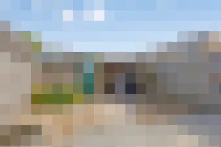 Anthonie van Dijckstraat 13 Papendrecht thumbnail 28