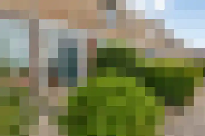 Anthonie van Dijckstraat 13 Papendrecht thumbnail 4