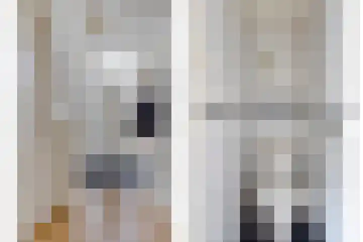 Anthonie van Dijckstraat 13 Papendrecht thumbnail 6