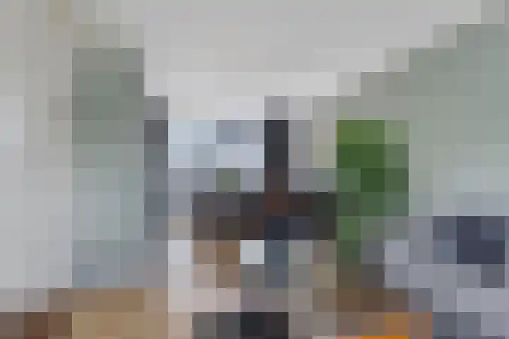 Anthonie van Dijckstraat 13 Papendrecht thumbnail 7