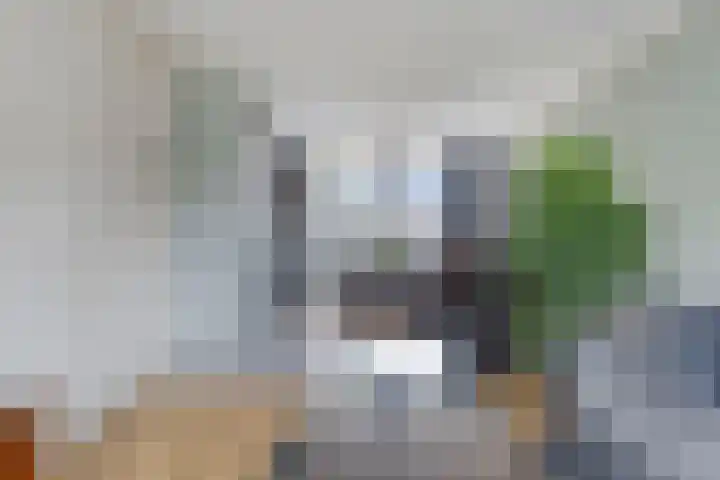 Anthonie van Dijckstraat 13 Papendrecht thumbnail 8