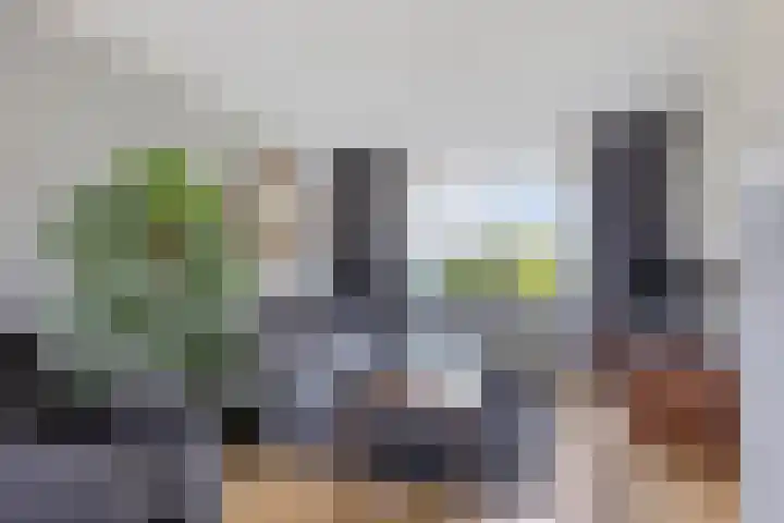 Anthonie van Dijckstraat 13 Papendrecht thumbnail 9