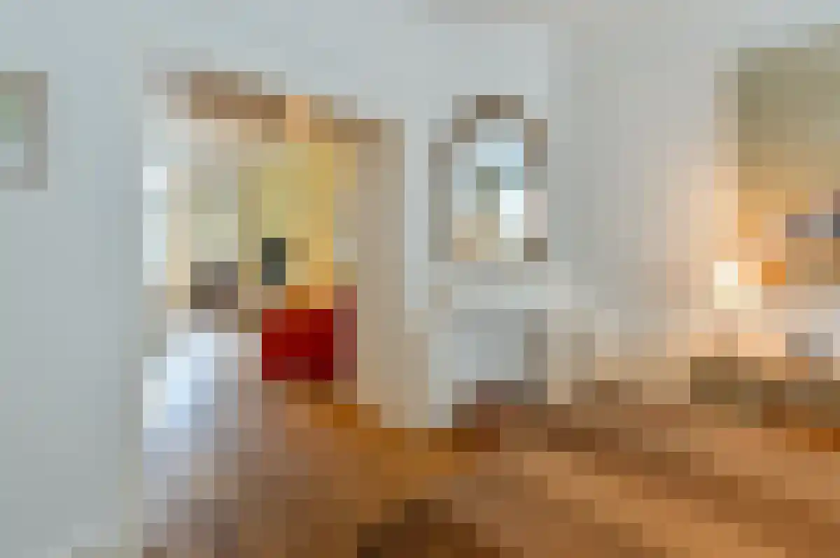 Anthonie van Dijckstraat 5 Amsterdam thumbnail 6