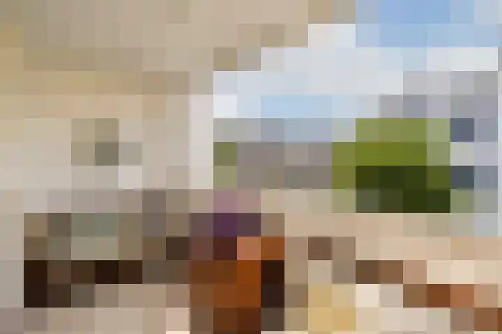 Anthonie van Dijckstraat 9 3 Amsterdam thumbnail 10