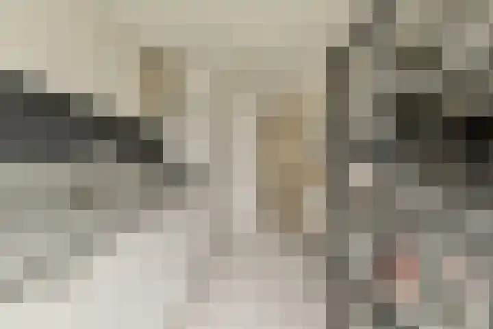 Anthonie van Dijckstraat 9 3 Amsterdam thumbnail 12