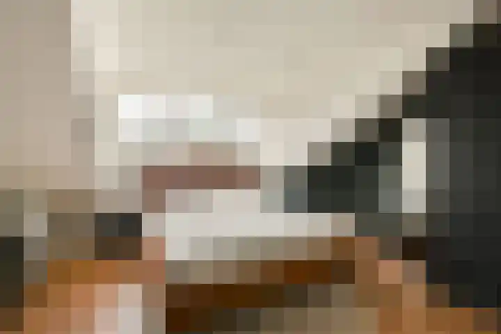 Anthonie van Dijckstraat 9 3 Amsterdam thumbnail 4