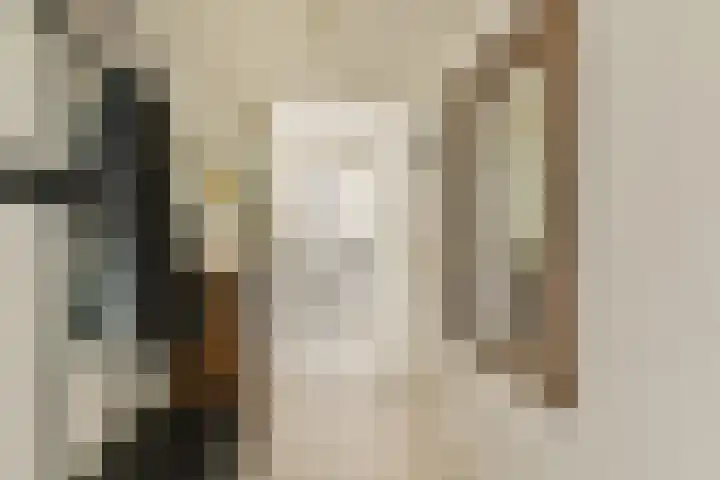 Anthonie van Dijckstraat 9 3 Amsterdam thumbnail 6