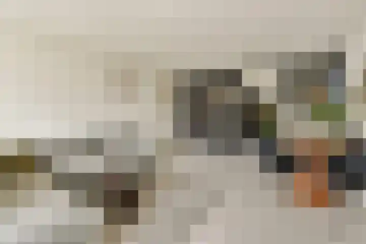 Anthonie van Dijckstraat 9 3 Amsterdam thumbnail 8