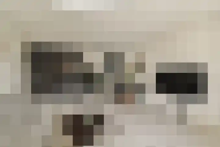 Anthonie van Dijckstraat 9 3 Amsterdam thumbnail 9
