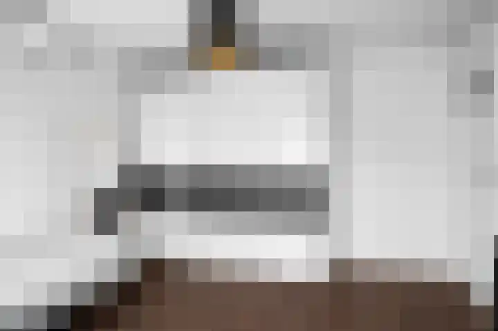 Anthonie van Dyckstraat 1 Deventer thumbnail 11
