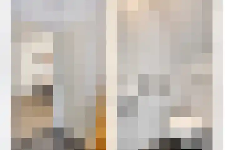 Anthonie Van Dyckstraat 28 Axel thumbnail 11