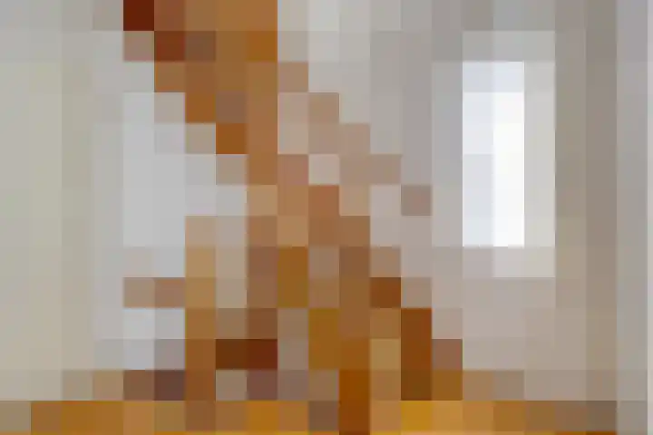 Anthonie Van Dyckstraat 28 Axel thumbnail 19