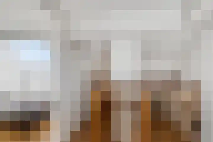 Anthonie Van Dyckstraat 28 Axel thumbnail 20