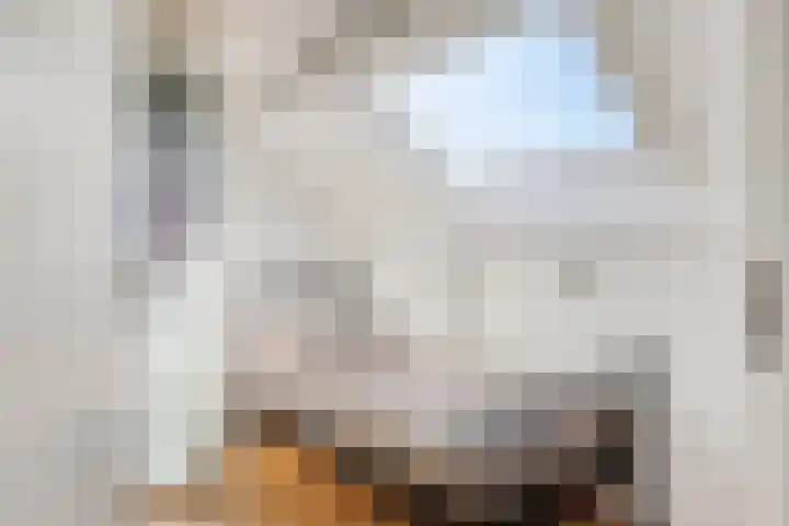 Anthonie Van Dyckstraat 28 Axel thumbnail 21