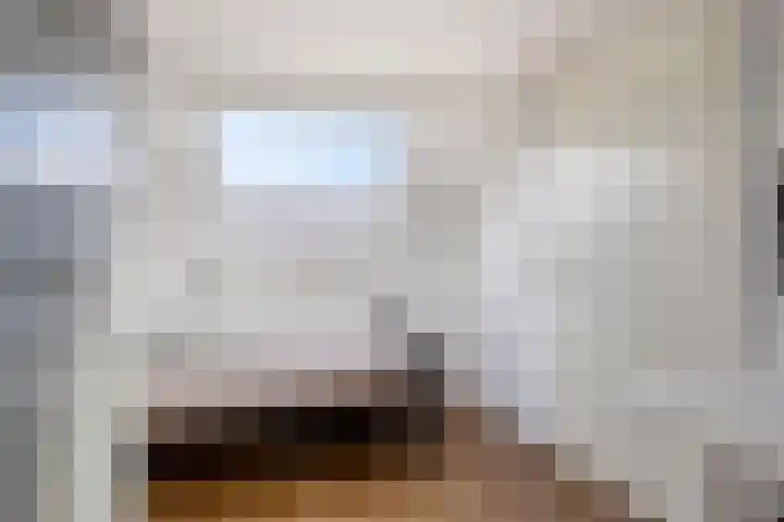 Anthonie Van Dyckstraat 28 Axel thumbnail 23