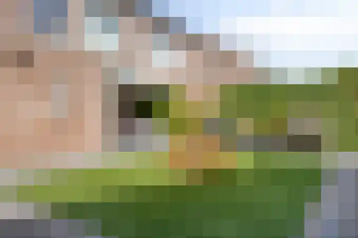 Anthonie Van Dyckstraat 28 Axel thumbnail 27