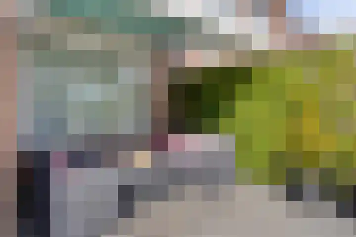 Anthonie Van Dyckstraat 28 Axel thumbnail 29