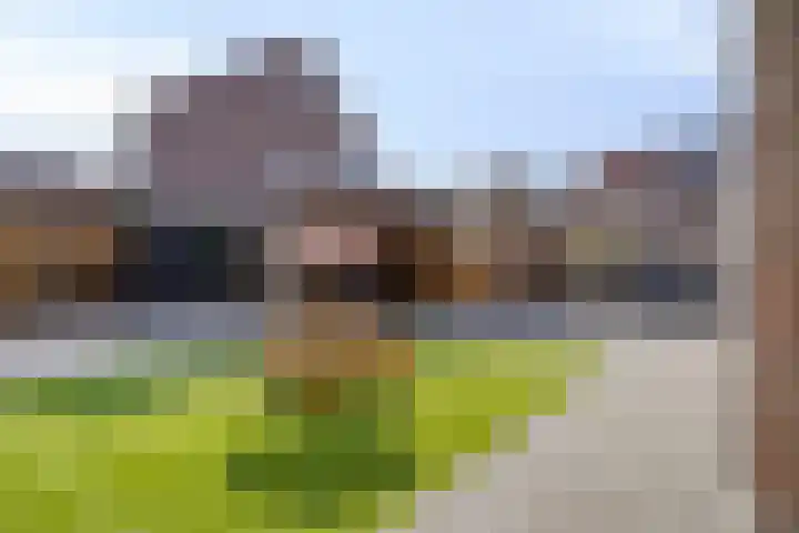 Anthonie Van Dyckstraat 28 Axel thumbnail 30