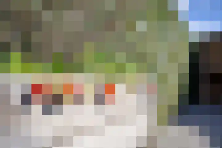 Anthonie Van Dyckstraat 28 Axel thumbnail 31