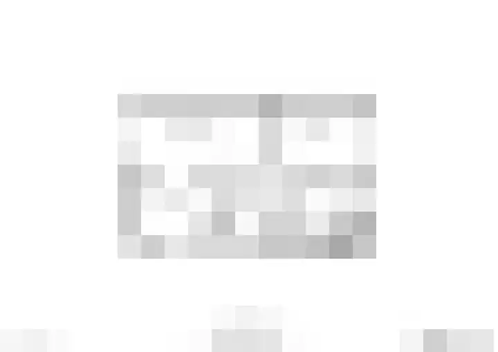 Anthonie Van Dyckstraat 28 Axel thumbnail 37